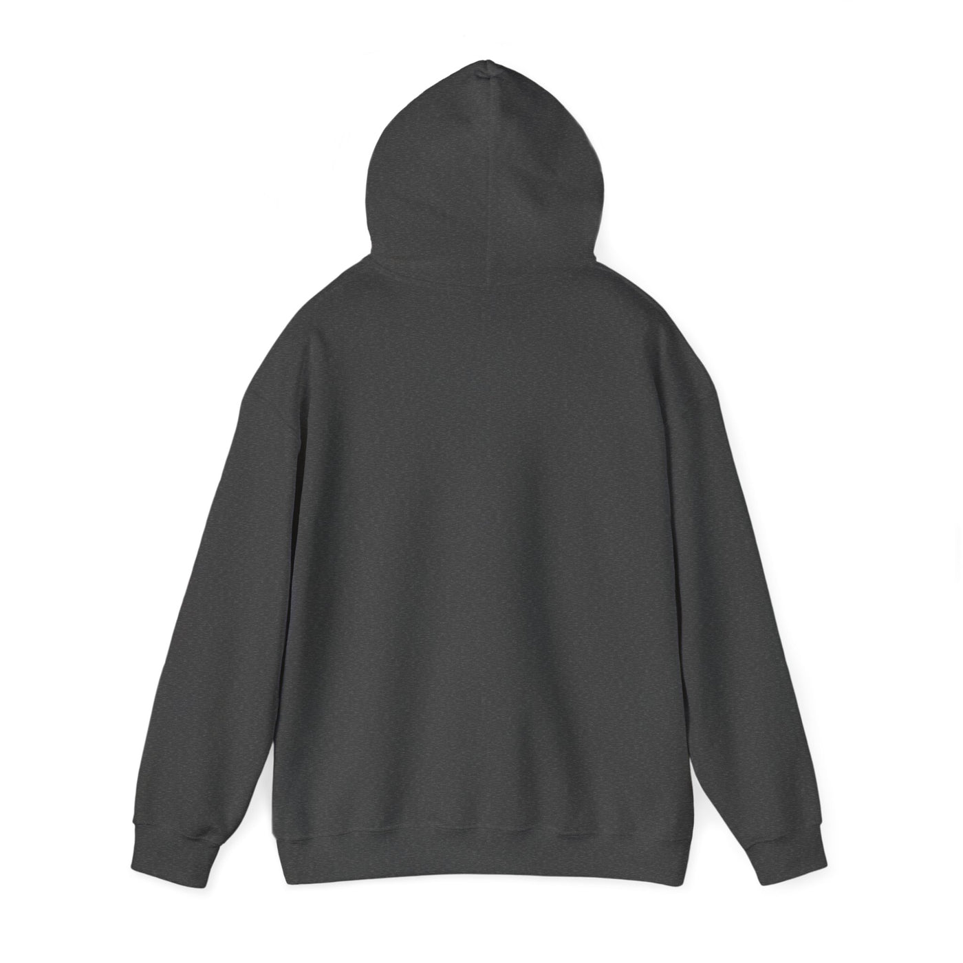 BALANCING ACT ACCOUNTANT Unisex Heavy Blend™ Hooded Sweatshirt