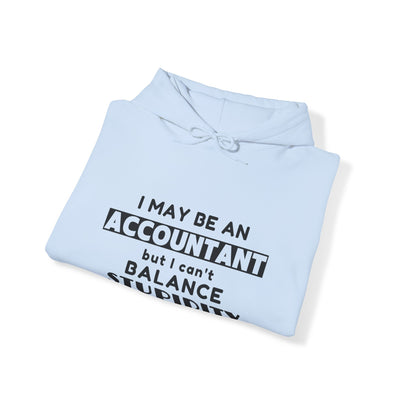 BALANCING ACT ACCOUNTANT Unisex Heavy Blend™ Hooded Sweatshirt