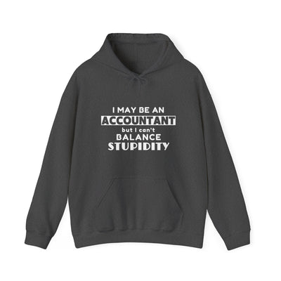 BALANCING ACT ACCOUNTANT Unisex Heavy Blend™ Hooded Sweatshirt