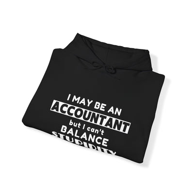 BALANCING ACT ACCOUNTANT Unisex Heavy Blend™ Hooded Sweatshirt