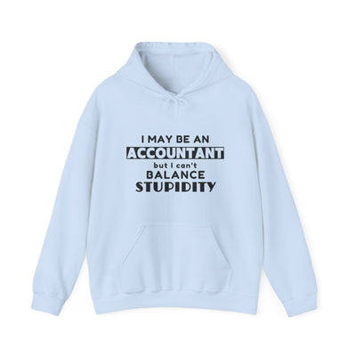 BALANCING ACT ACCOUNTANT Unisex Heavy Blend™ Hooded Sweatshirt
