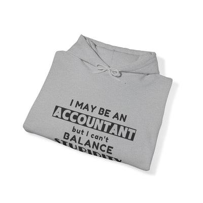 BALANCING ACT ACCOUNTANT Unisex Heavy Blend™ Hooded Sweatshirt
