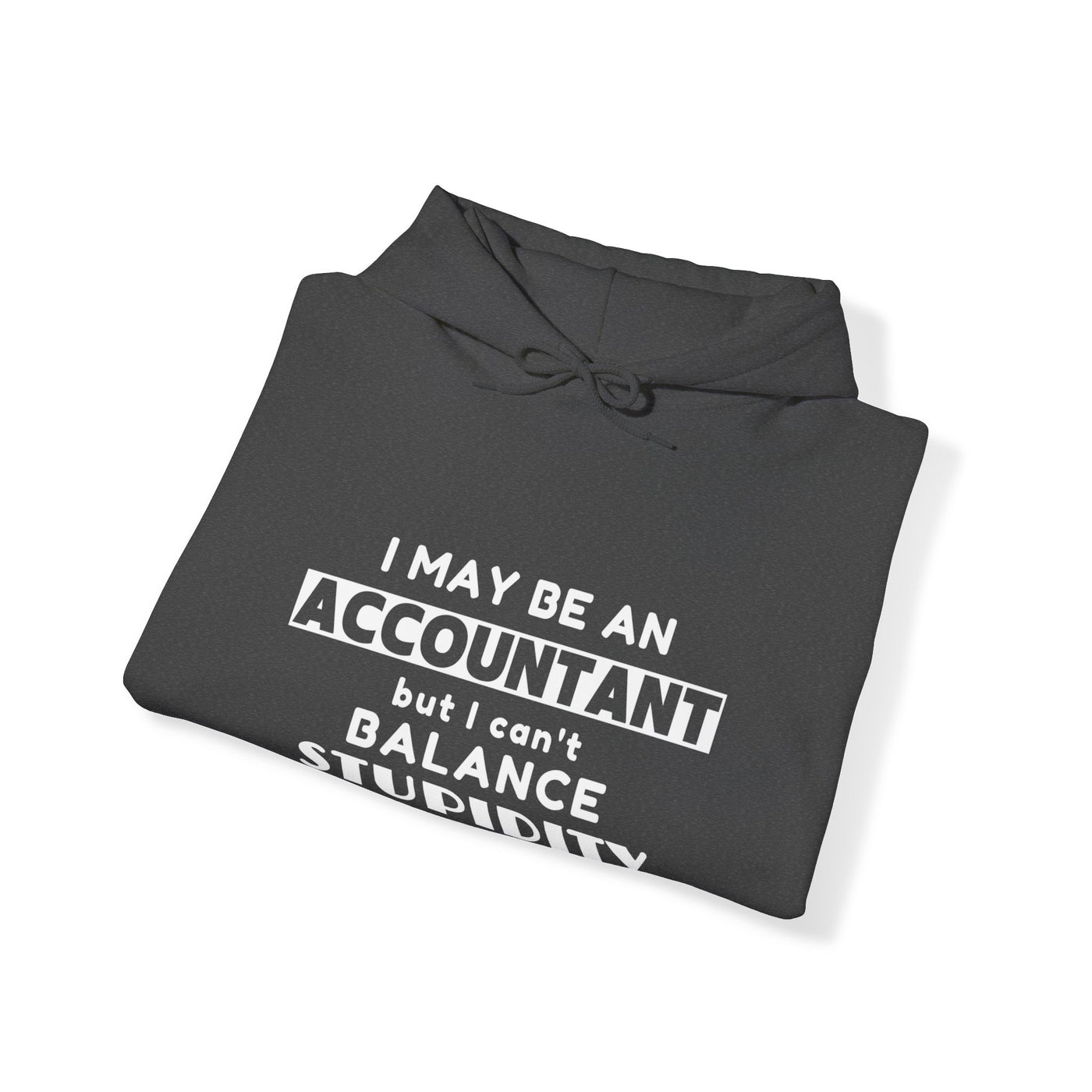 BALANCING ACT ACCOUNTANT Unisex Heavy Blend™ Hooded Sweatshirt