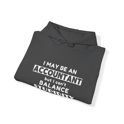 BALANCING ACT ACCOUNTANT Unisex Heavy Blend™ Hooded Sweatshirt