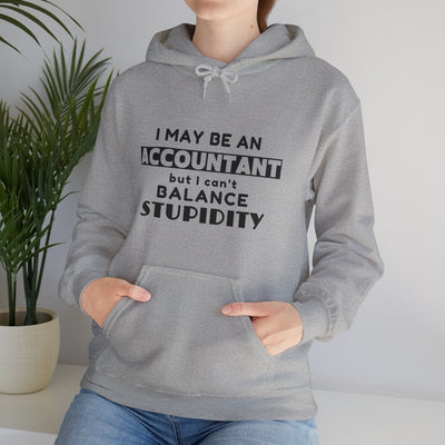 BALANCING ACT ACCOUNTANT Unisex Heavy Blend™ Hooded Sweatshirt