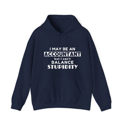 BALANCING ACT ACCOUNTANT Unisex Heavy Blend™ Hooded Sweatshirt