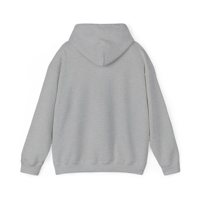 BALANCING ACT ACCOUNTANT Unisex Heavy Blend™ Hooded Sweatshirt