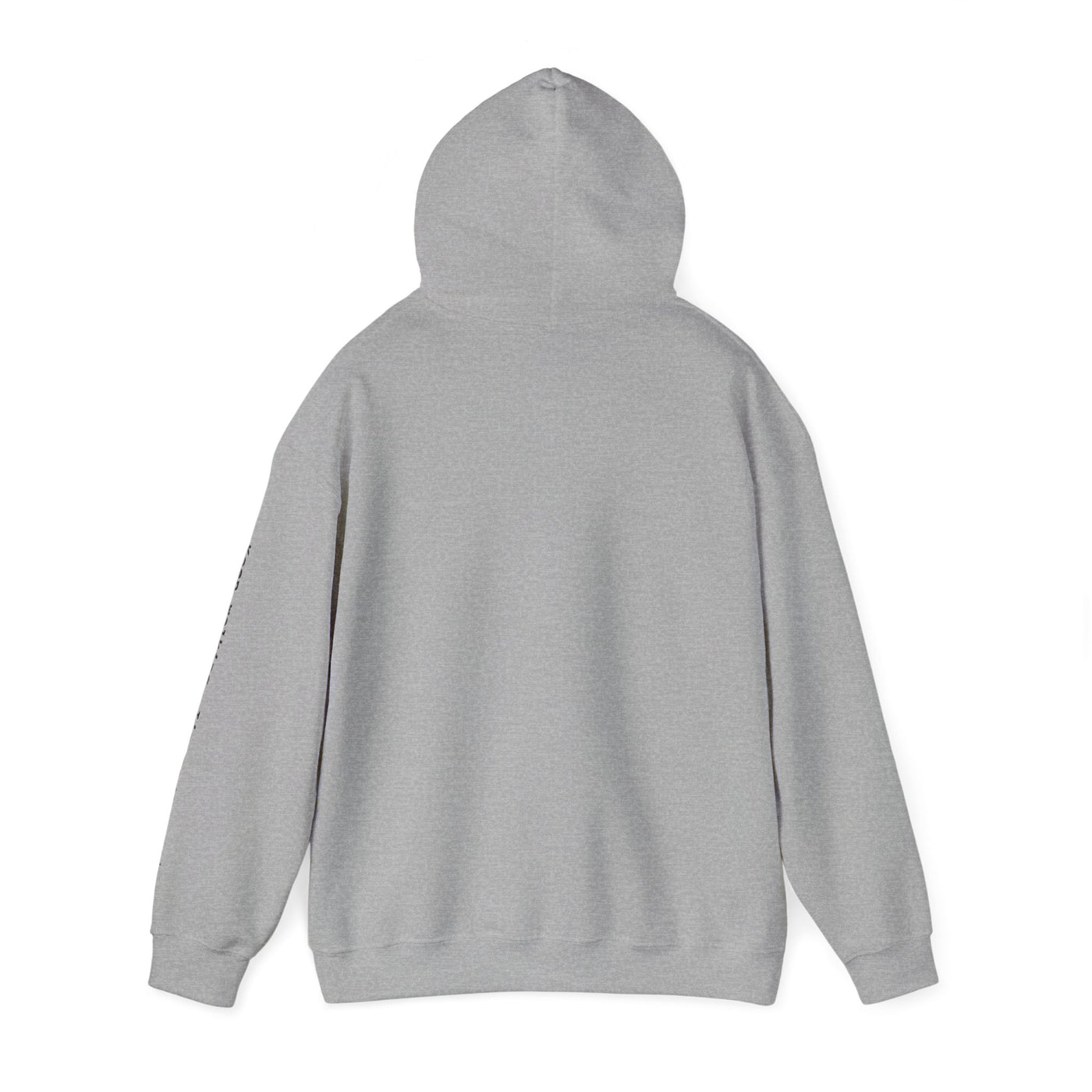 CODING ENTHUSIAST Unisex Heavy Blend™ Hooded Sweatshirt