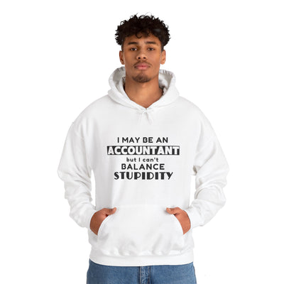 BALANCING ACT ACCOUNTANT Unisex Heavy Blend™ Hooded Sweatshirt