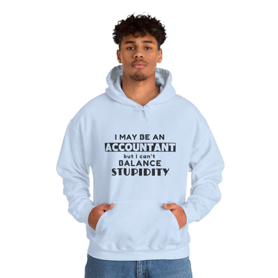BALANCING ACT ACCOUNTANT Unisex Heavy Blend™ Hooded Sweatshirt