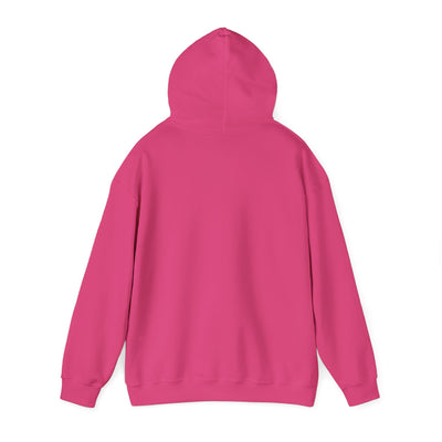 CODING ENTHUSIAST Unisex Heavy Blend™ Hooded Sweatshirt