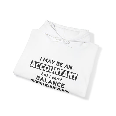 BALANCING ACT ACCOUNTANT Unisex Heavy Blend™ Hooded Sweatshirt
