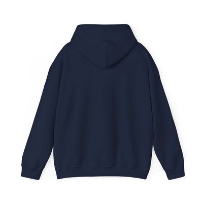 BALANCING ACT ACCOUNTANT Unisex Heavy Blend™ Hooded Sweatshirt