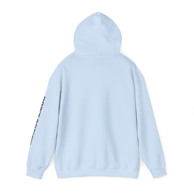 BEER LOVER'S DECLARATION Unisex Heavy Blend™ Hooded Sweatshirt