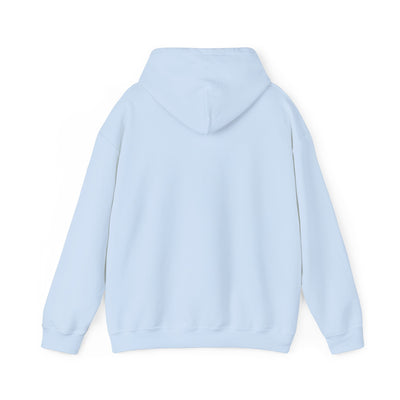 BALANCING ACT ACCOUNTANT Unisex Heavy Blend™ Hooded Sweatshirt